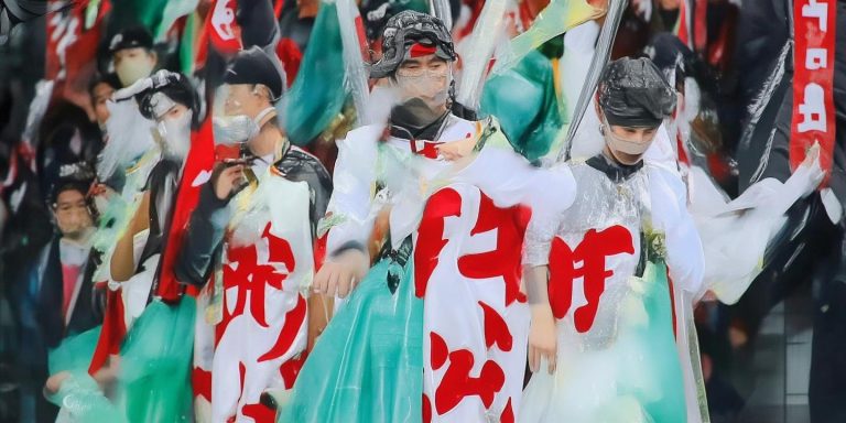 哈利波特海德薇原型雪鸮：极地精灵的神秘与危机