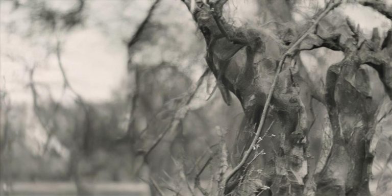 面包车坡道忘拉手刹 百米丝滑入库引网友调侃自动泊车