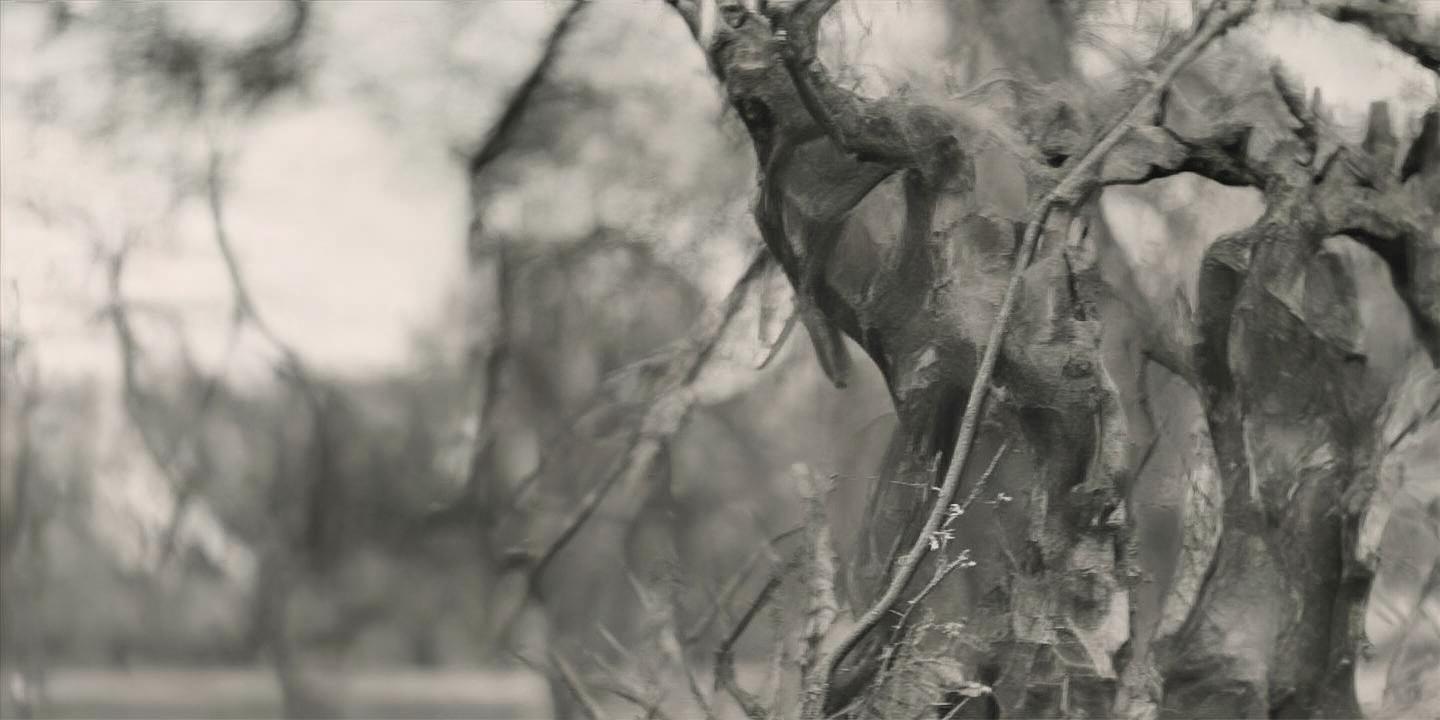 面包车坡道忘拉手刹 百米丝滑入库引网友调侃自动泊车插图 面包车坡道忘拉手刹 百米丝滑入库引网友调侃自动泊车