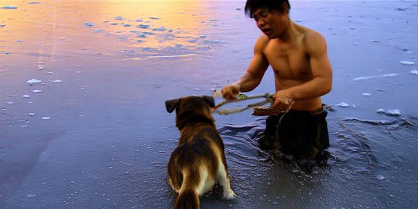北京流浪狗落冰窟好心大哥砸冰赤膊救狗暖心接力插图 北京流浪狗落冰窟好心大哥砸冰赤膊救狗暖心接力