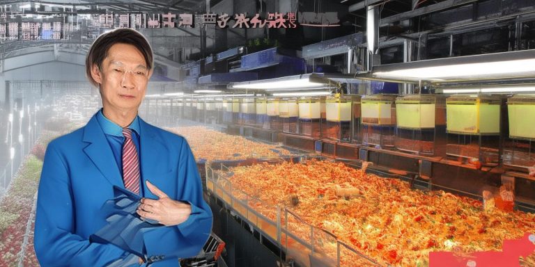 白岩松剖析AI养龙虾热潮：技术发展需理性看待