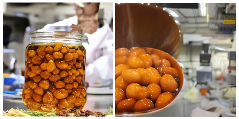 皮蛋真相揭秘：现代工艺安全美味，药用价值不容忽视