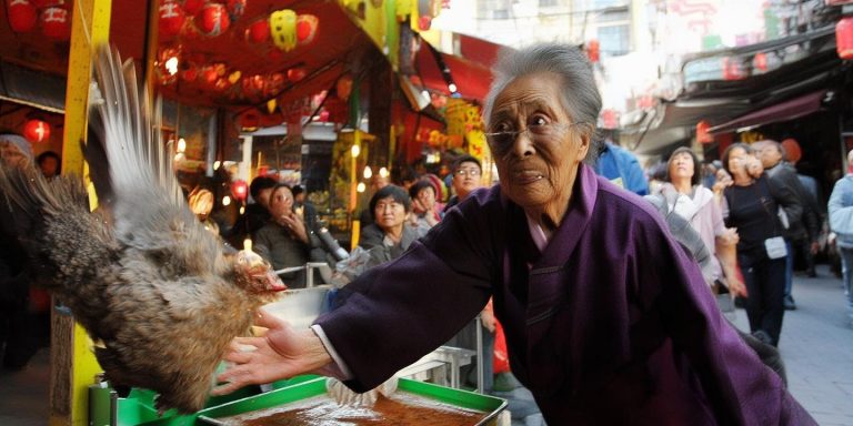 重庆奶奶为救女童果断抓鸡宰杀引发热议