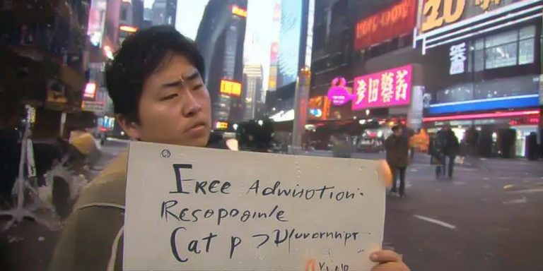 免费领养猫也要担责 上海小伙丢失猫咪被判赔3000元